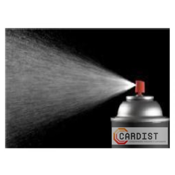 Spray bi-composant brillant direct 400ml (teinte à la demande)