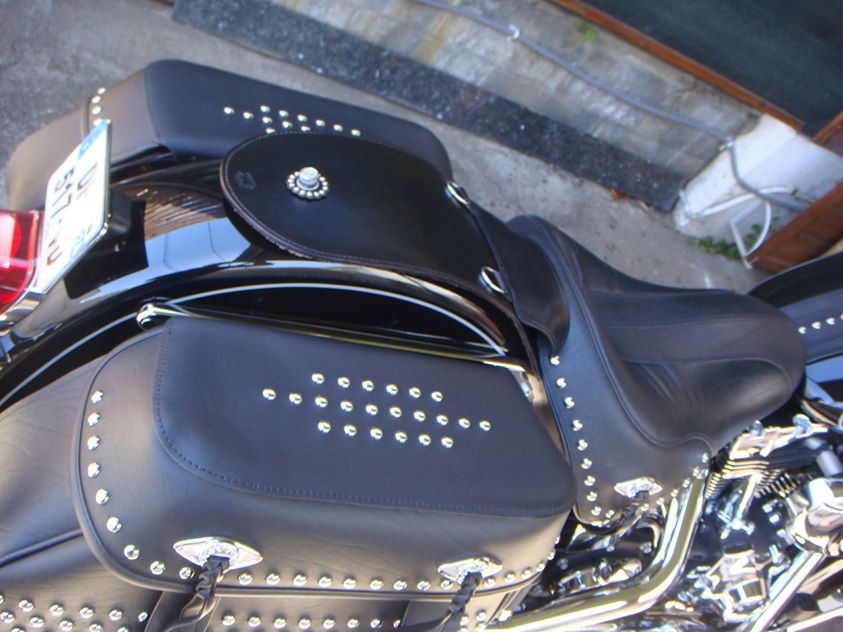 plastron pour softail