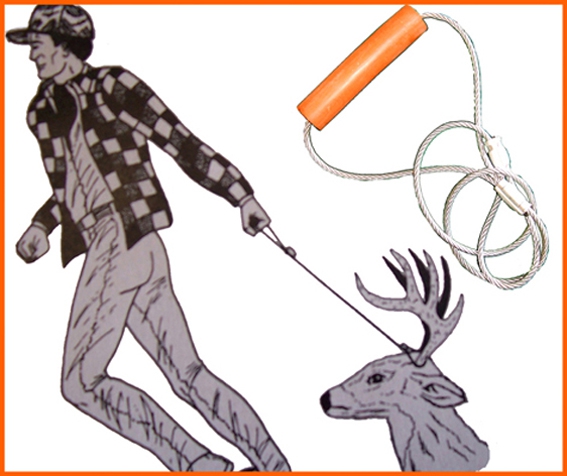 Câble de traction Grand Gibier