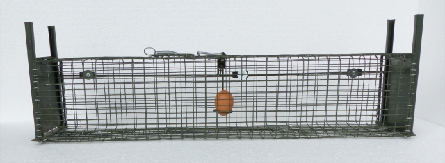 Boite a fouine avec oeuf